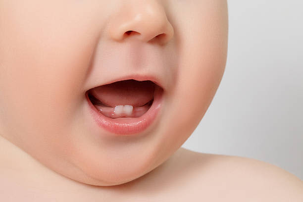 【歯科医師監修】赤ちゃんの歯はいつ生える？　遅い時や順番が違う時、むし歯予防について