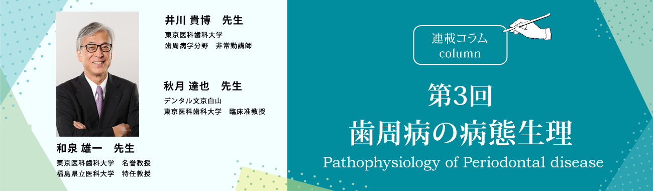 連載コラム【Contemporary Periodontics】第3回　歯周病の病態生理学（Pathophysiology of Periodontal disease pathogenesis）