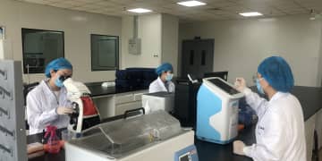 歯小嚢幹細胞を用いた歯周病治療研究、四川省成都市で開始