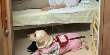 日本盲導犬協会、盲導犬ユーザー受け入れ拒否の実態を報告