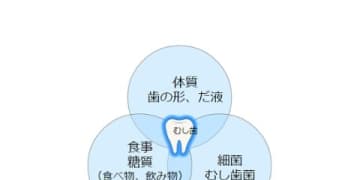 富士通が従業員に歯と口腔の健康教育を実施